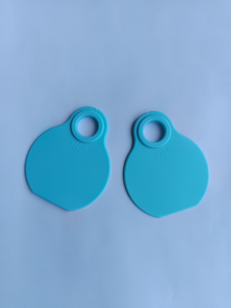 BIRU NECK TAG MODEL BARU