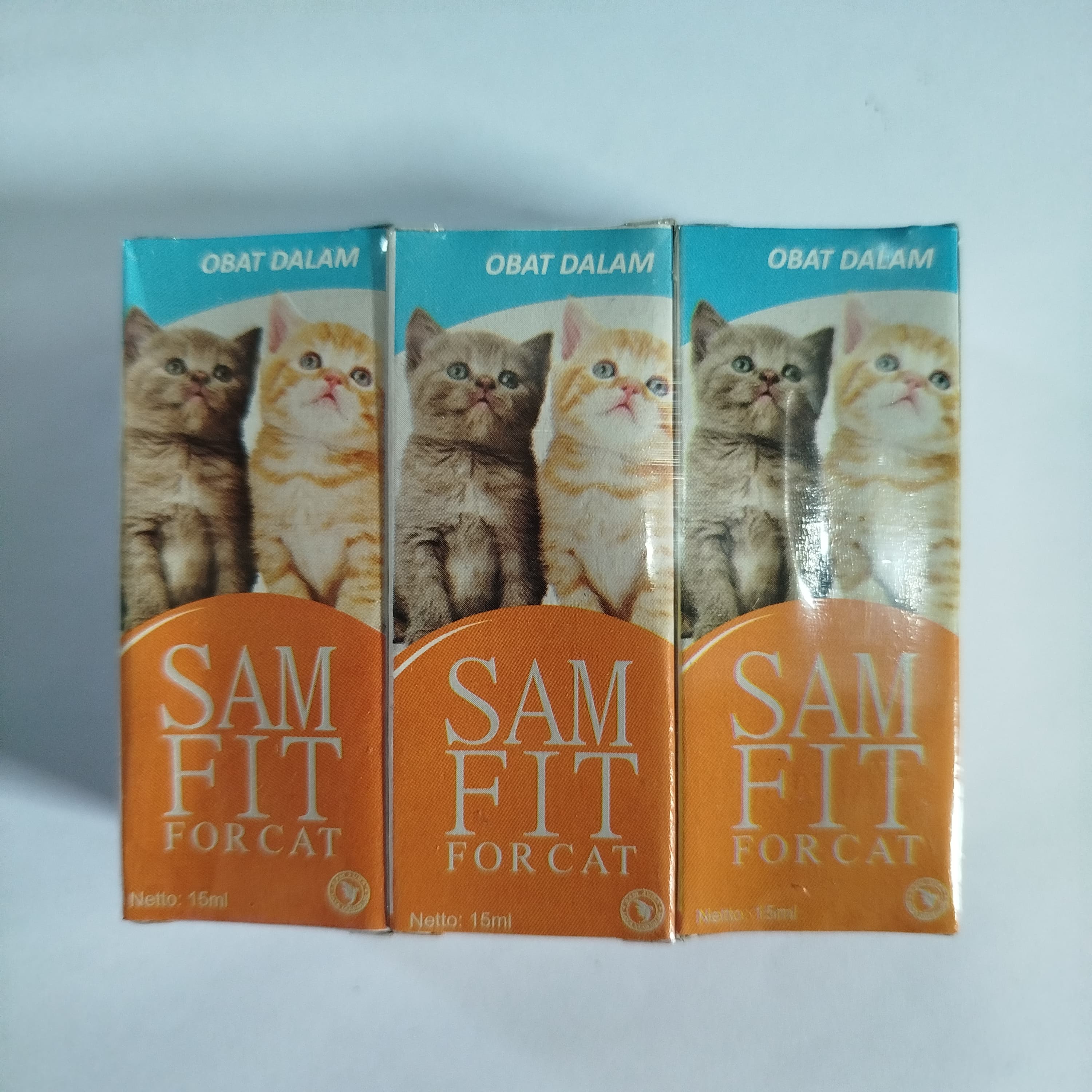 SAM FIT KUCING DALAM