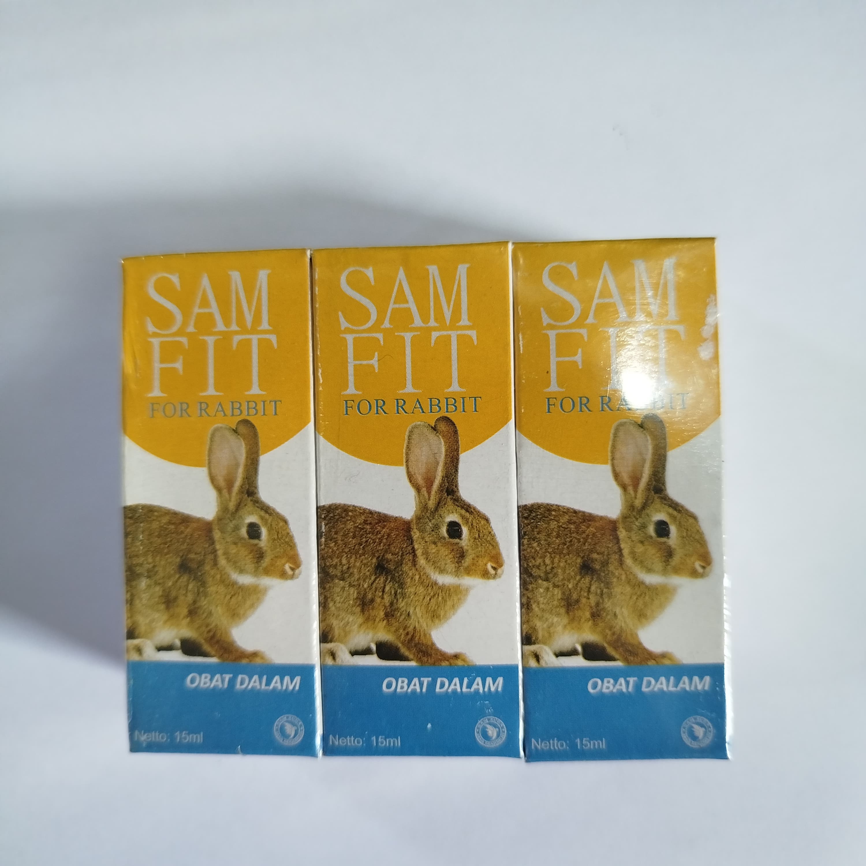 KELINCI DALAM SAM FIT 