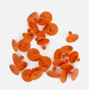 ORANGE BULAT NOMOR EARTAG