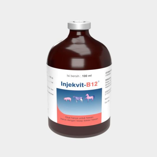 INJEKVIT B12 100 ML 