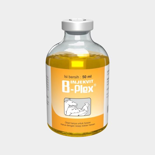 INJEKVIT B-PLEX 50ML