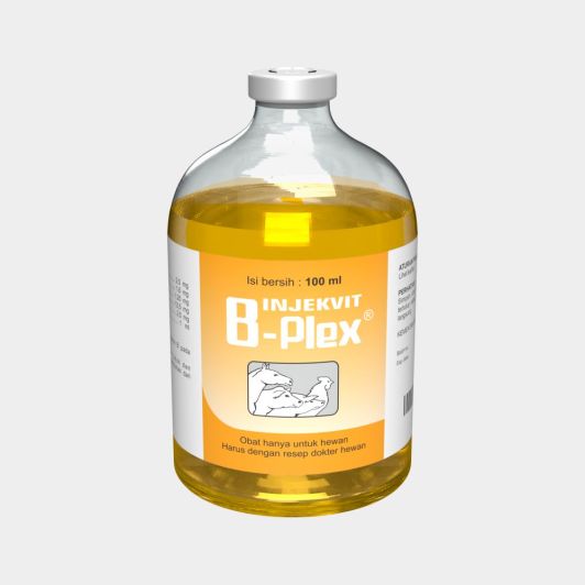 INJEKVIT B-PLEX 100ML
